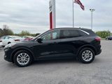 Used 2021 Ford Escape SE image 4