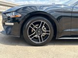Used 2023 Ford Mustang Coupe w/ Equipment Group 101A image 5