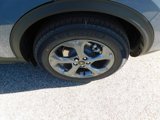 New 2025 Ford Escape ST-Line w/ Tech Pack #1 image 5