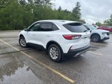 Used 2021 Ford Escape SE image 3