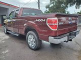Used 2009 Ford F150 XLT image 5