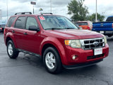 Used 2011 Ford Escape XLT image 3