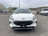 Used 2020 Ford Escape SE image 2