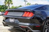 Used 2019 Ford Mustang Coupe w/ Equipment Group 101A image 5