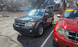Used 2011 Ford Escape XLT w/ 201A Rapid Spec Order Code image 5