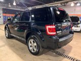 Used 2009 Ford Escape Limited image 5