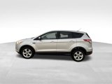 Used 2015 Ford Escape SE image 3