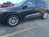Used 2020 Ford Escape SE image 5