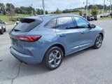 Used 2024 Ford Escape ST-Line w/ Tech Pack #1 image 5