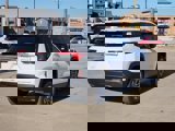 New 2025 GMC Terrain Elevation image 4