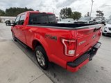 Used 2016 Ford F150 XLT image 5
