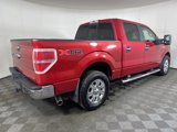 Used 2012 Ford F150 XLT image 3