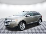 Used 2014 Ford Edge SEL w/ Equipment Group 205A image 3