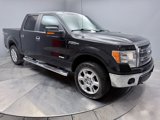 Used 2014 Ford F150 XLT w/ Equipment Group 302A Luxury image 3