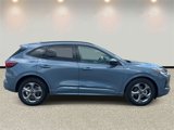 Used 2023 Ford Escape ST-Line w/ Tech Pack #1 image 4
