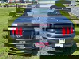 Used 2017 Ford Mustang Premium image 6