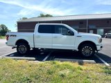 Used 2019 Ford F150 XLT w/ Equipment Group 302A Luxury image 4