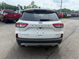 Used 2020 Ford Escape Titanium image 5