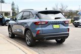 New 2025 Ford Escape ST-Line w/ Tech Pack #1 image 6