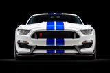 Used 2018 Ford Mustang Shelby GT350R w/ GT350R Equipment Group 920A image 5