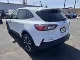 Used 2022 Ford Escape SE w/ SE Sport Appearance Package image 5