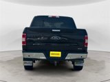 Used 2020 Ford F150 XLT w/ Equipment Group 301A Mid image 4