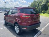 Used 2020 Ford EcoSport SE image 5