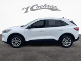 Used 2022 Ford Escape SE w/ Convenience Package image 4