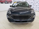 Certified 2022 Ford Escape SEL image 2