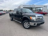 Used 2014 Ford F150 XLT w/ Equipment Group 302A Luxury image 2
