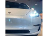 Used 2021 Tesla Model 3 Standard Range Plus image 5