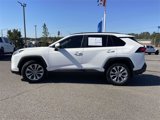 Used 2019 Toyota RAV4 XLE Premium image 6