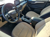 Used 2022 Ford Escape SE image 3