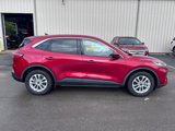 Used 2020 Ford Escape SE image 4