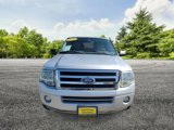 Used 2010 Ford Expedition XLT image 2