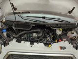 Used 2023 Ford Transit 250 Low Roof w/ Exterior Upgrade Package image 4