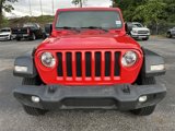 Used 2019 Jeep Wrangler Sport image 2