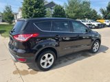Used 2013 Ford Escape SE image 3