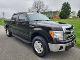 Used 2013 Ford F150 XLT w/ XLT Convenience Pkg image 4