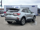 Used 2022 Ford Escape SEL image 5