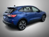 Used 2022 Ford Escape SE w/ SE Sport Appearance Package image 5