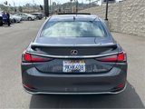 Certified 2024 Lexus ES 300h w/ Premium Package image 5