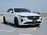 Used 2021 Cadillac CT4 Premium Luxury image 3