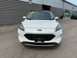 Used 2020 Ford Escape Titanium image 3