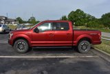 Used 2018 Ford F150 XLT w/ Equipment Group 302A Luxury image 6