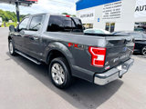 Used 2019 Ford F150 XLT w/ Equipment Group 302A Luxury image 3