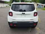 Certified 2023 Jeep Renegade Trailhawk image 5