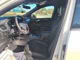 New 2025 Ford Escape ST-Line w/ Equipment Group 301A image 3