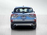 Certified 2022 Ford Escape SE w/ Convenience Package image 5
