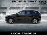 Used 2020 Ford Escape SE image 6
